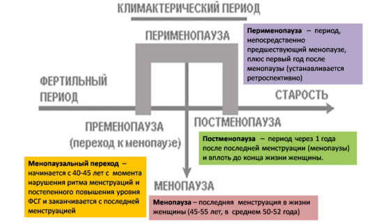 Концепция «квартета здоровья»