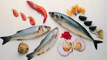 Ученые: диета из морепродуктов продлевает жизнь