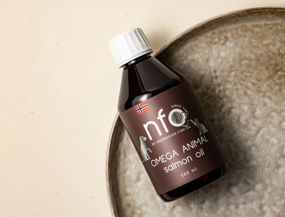 Омега-3 для кошек: какая лучше, польза для шерсти и правила приема