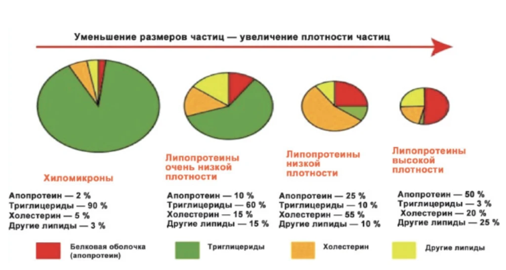 Рис. 6.png Рис. 6.png