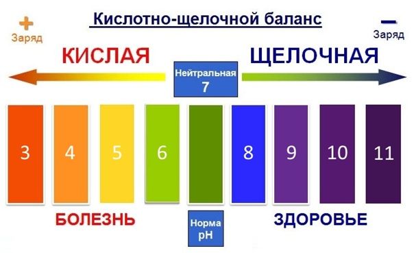   Как поддерживать кислотно-щелочной баланс 